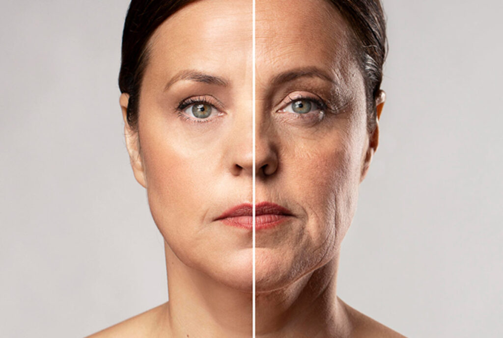 miami, kendal, aventura, doral, miami dade